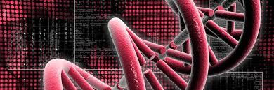 Introduction to Chemogenomics